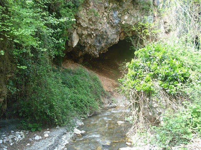 DSC04218.jpg