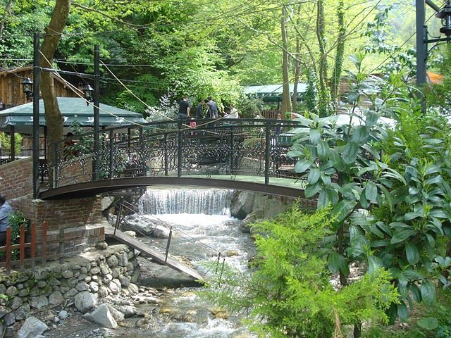 DSC04222.jpg