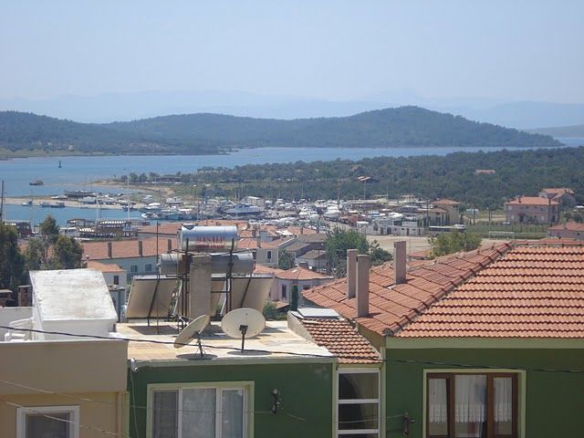 DSC04273.jpg