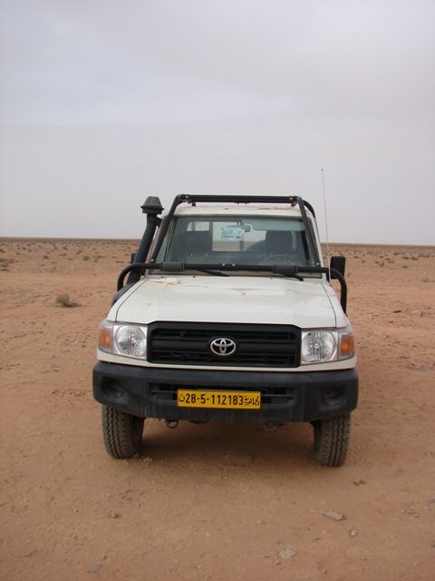 DSC04279.jpg