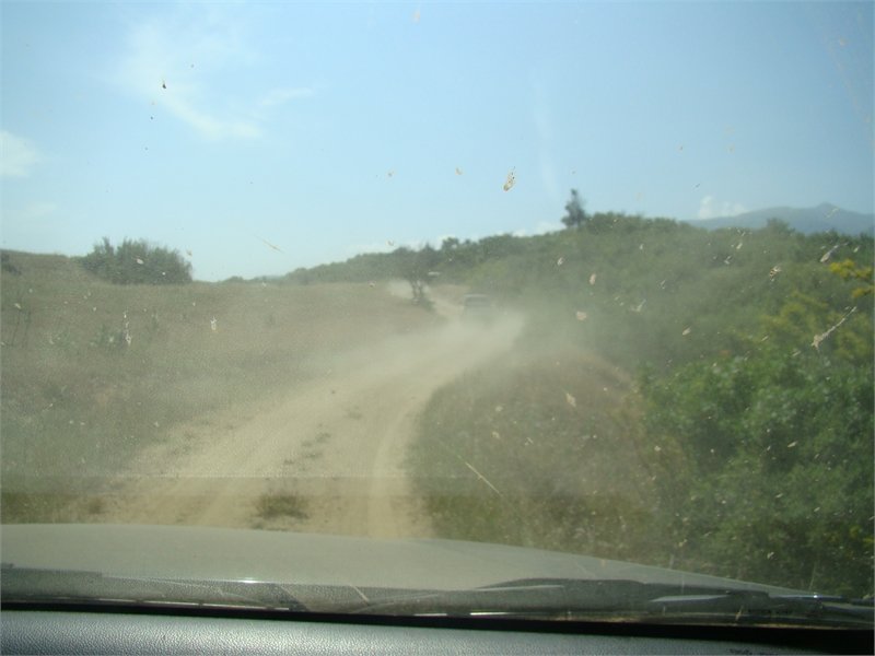 DSC04343.JPG