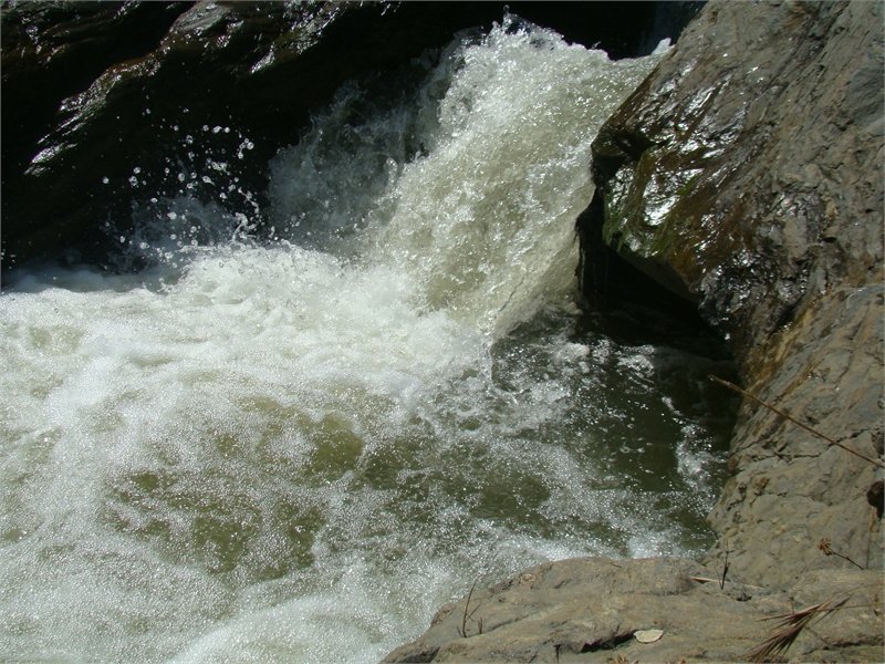 DSC04380.JPG