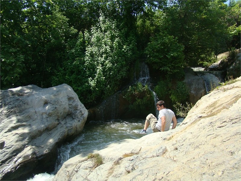 DSC04385.JPG