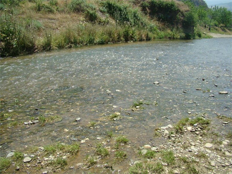 DSC04475.JPG