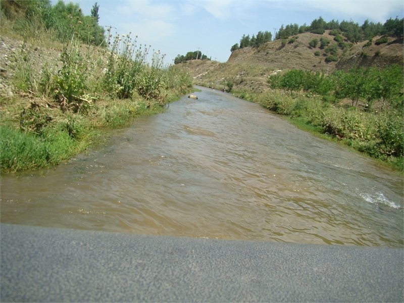 DSC04489.JPG