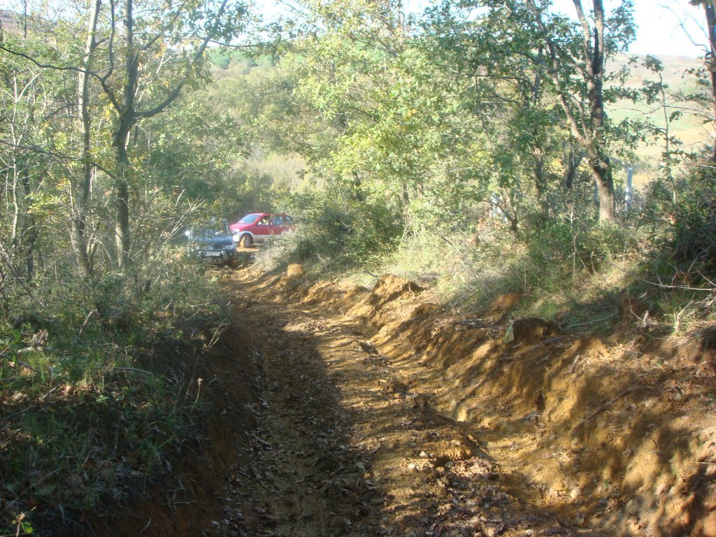 DSC04598.JPG