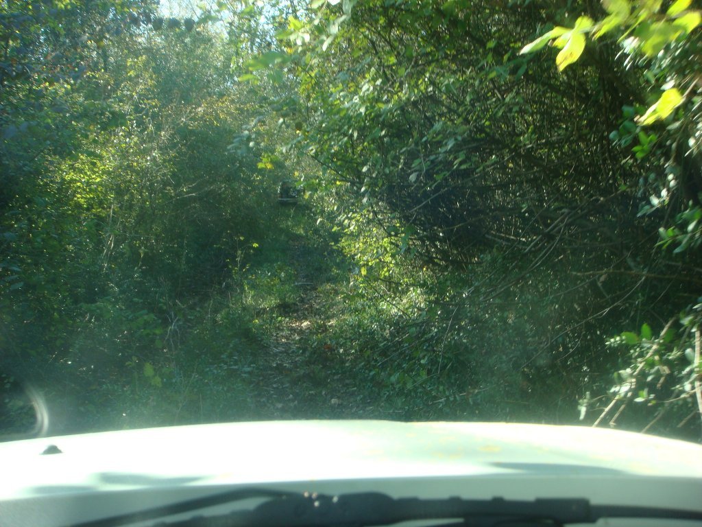DSC04614.JPG
