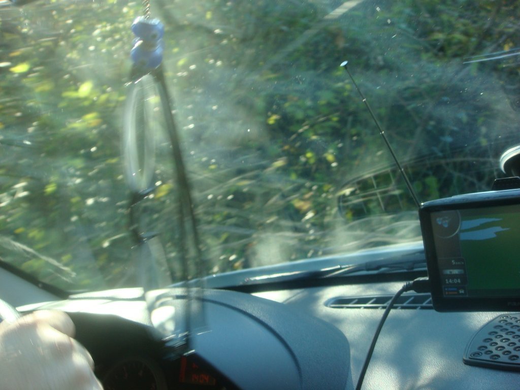 DSC04615.JPG