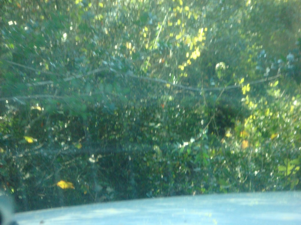 DSC04618.JPG