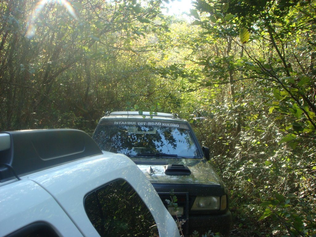DSC04620.JPG