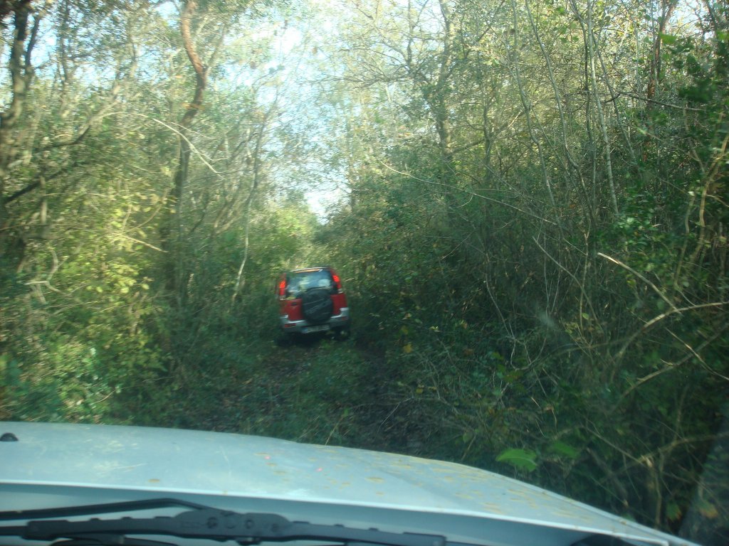 DSC04626.JPG