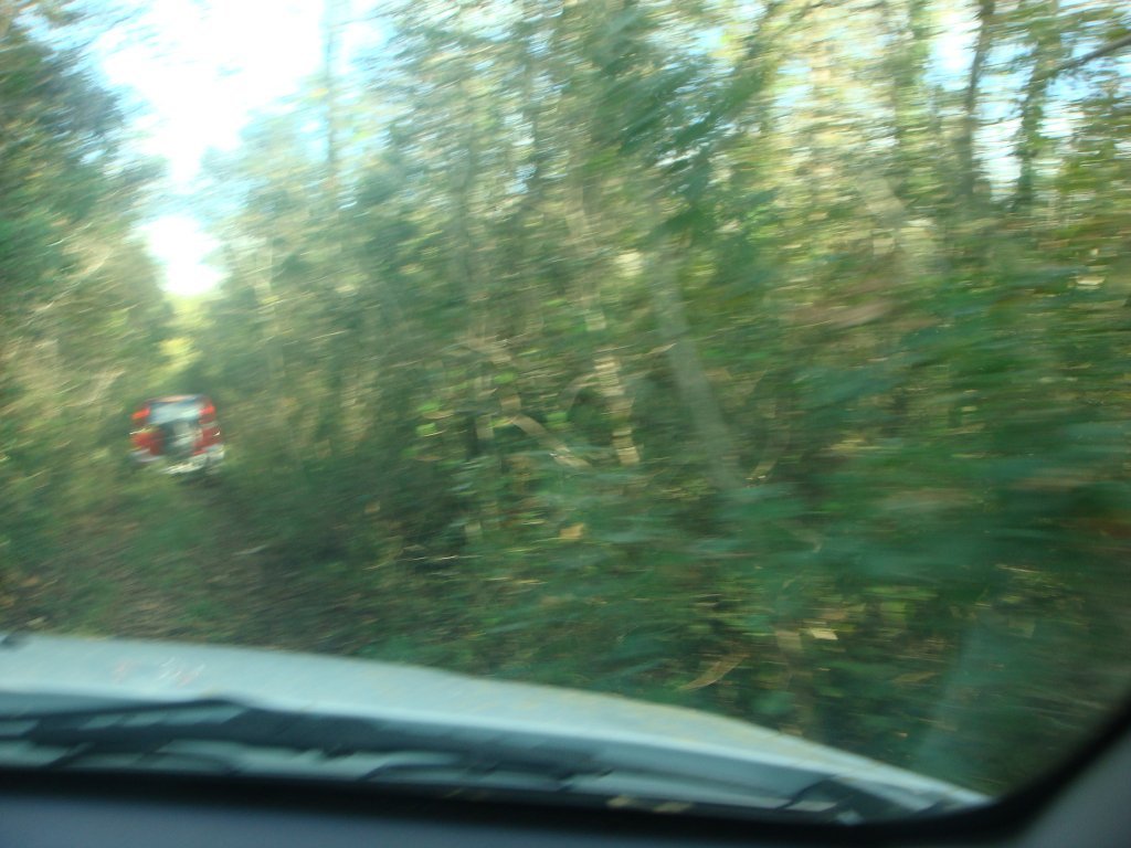 DSC04629.JPG