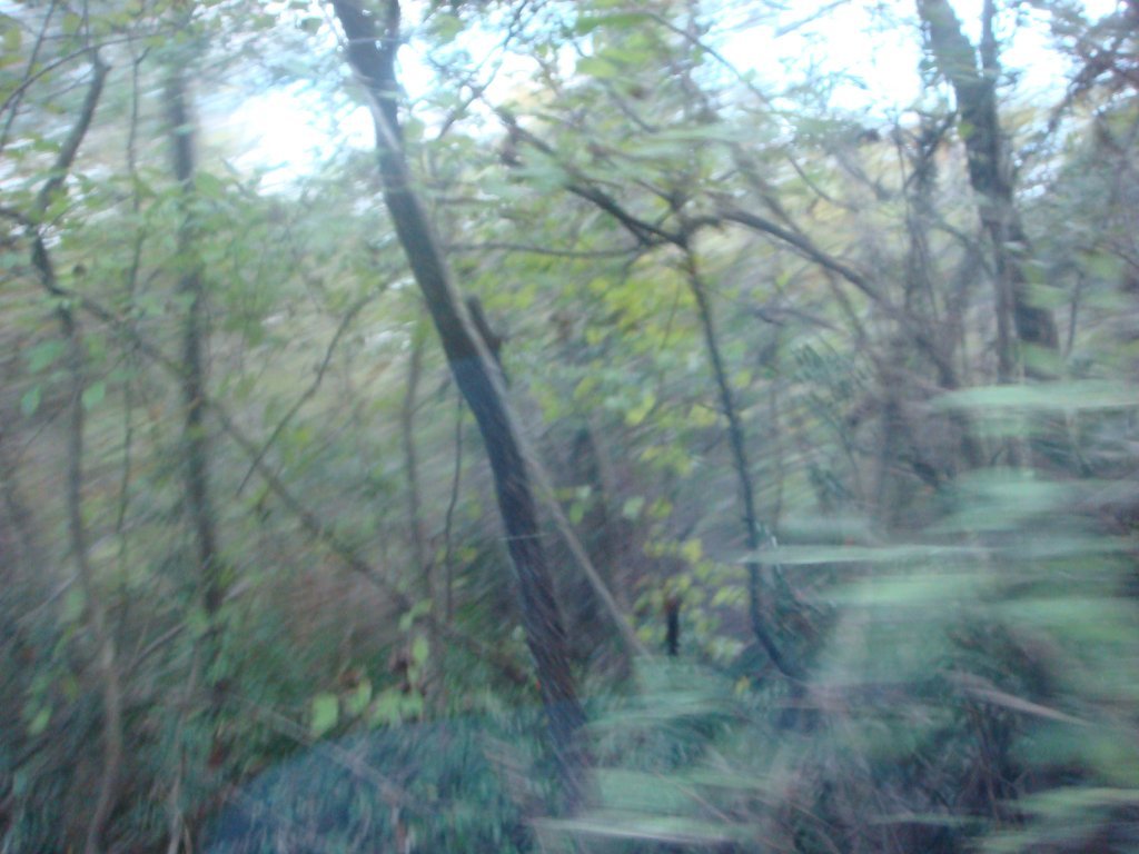 DSC04630.JPG