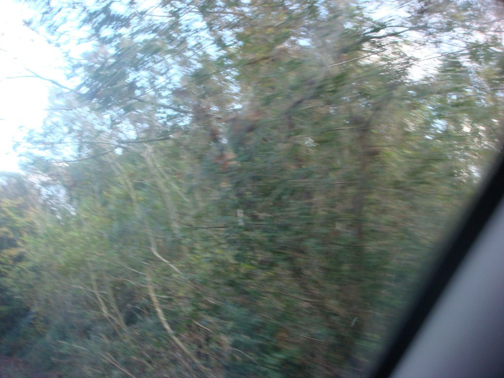 DSC04631.JPG