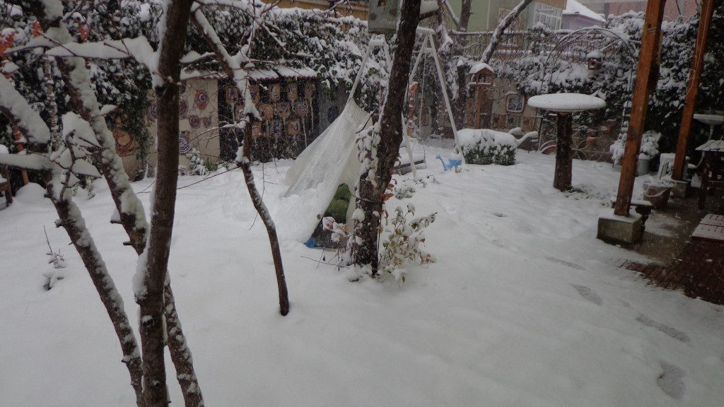 DSC04638.JPG