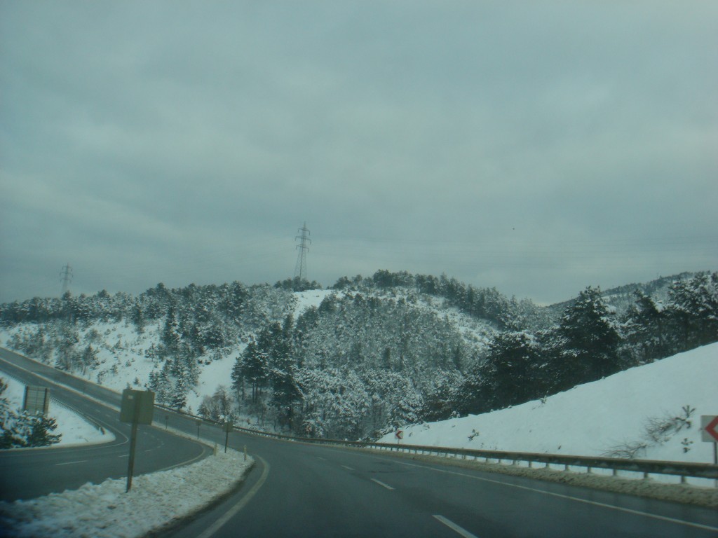 DSC04645.JPG