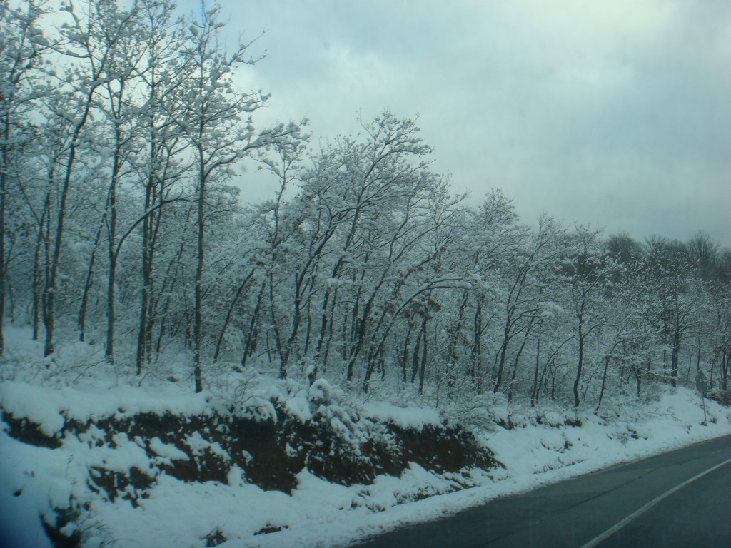 DSC04647.JPG