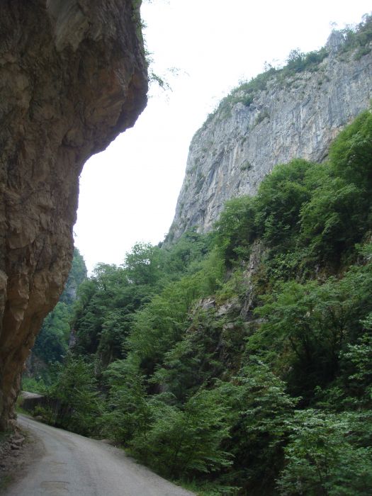 DSC04784.jpg