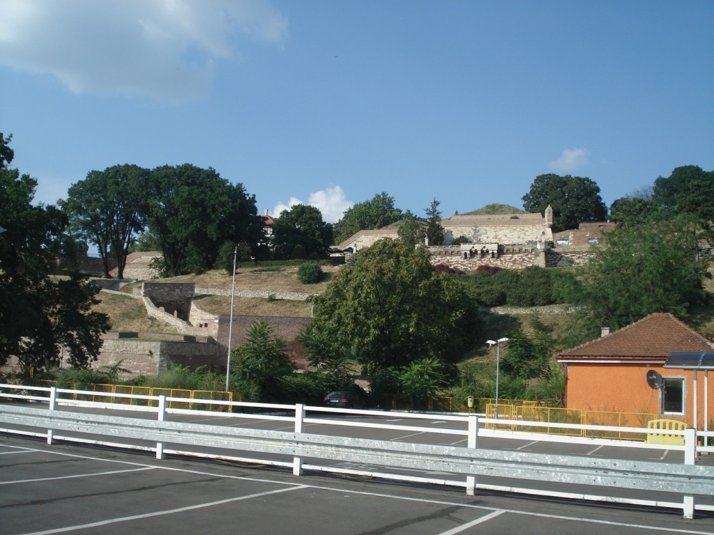 DSC04889.JPG