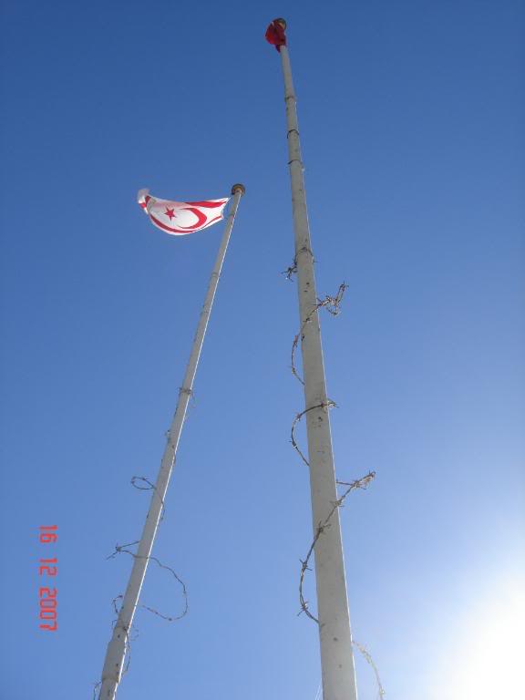 DSC04960.jpg