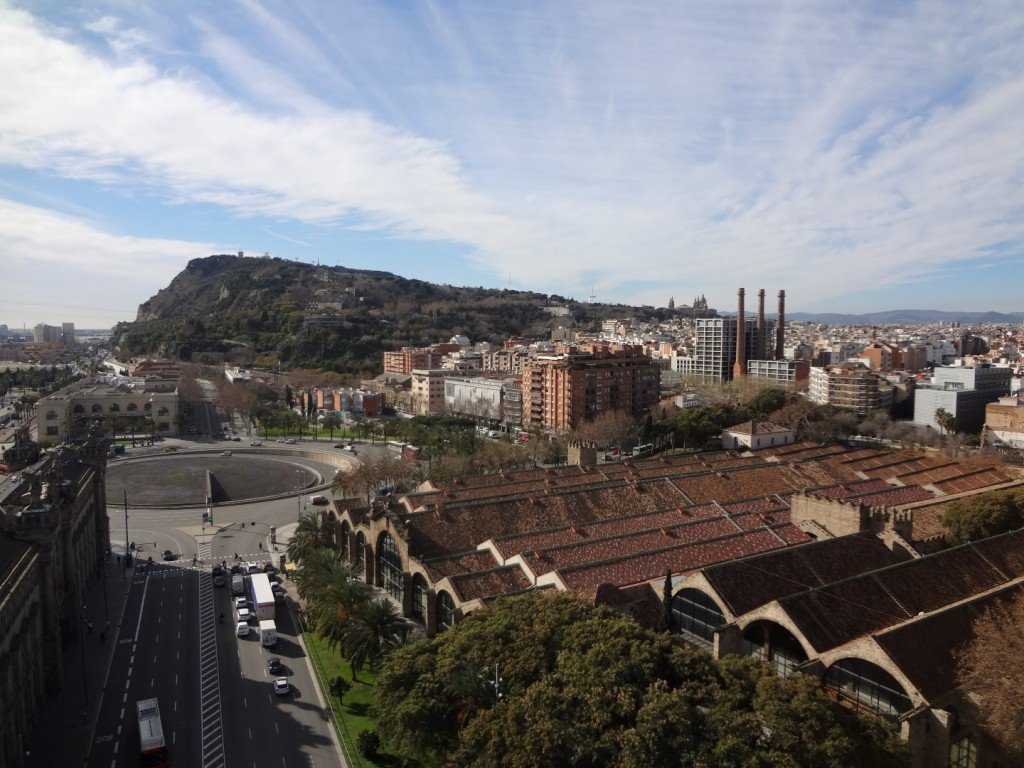 DSC05058 (Large).JPG