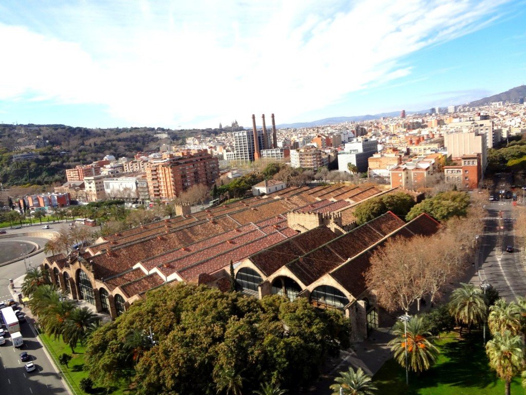 DSC05060 (Large).JPG