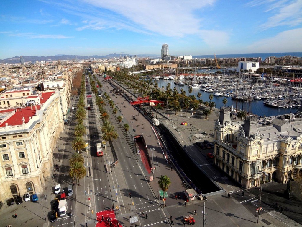 DSC05065 (Large).JPG