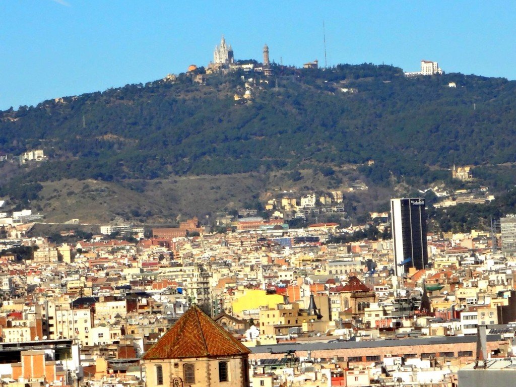 DSC05070 (Large).JPG