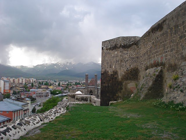 DSC05073.JPG