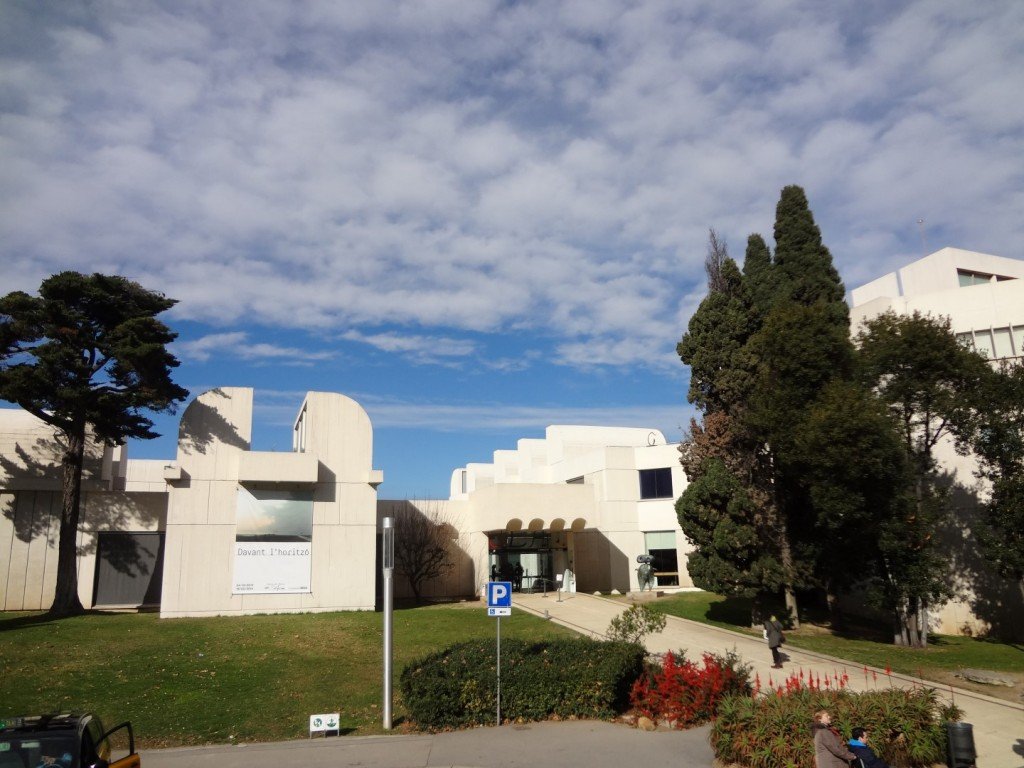 DSC05076 (Large).JPG