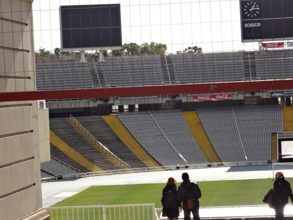 DSC05083 (Large).JPG