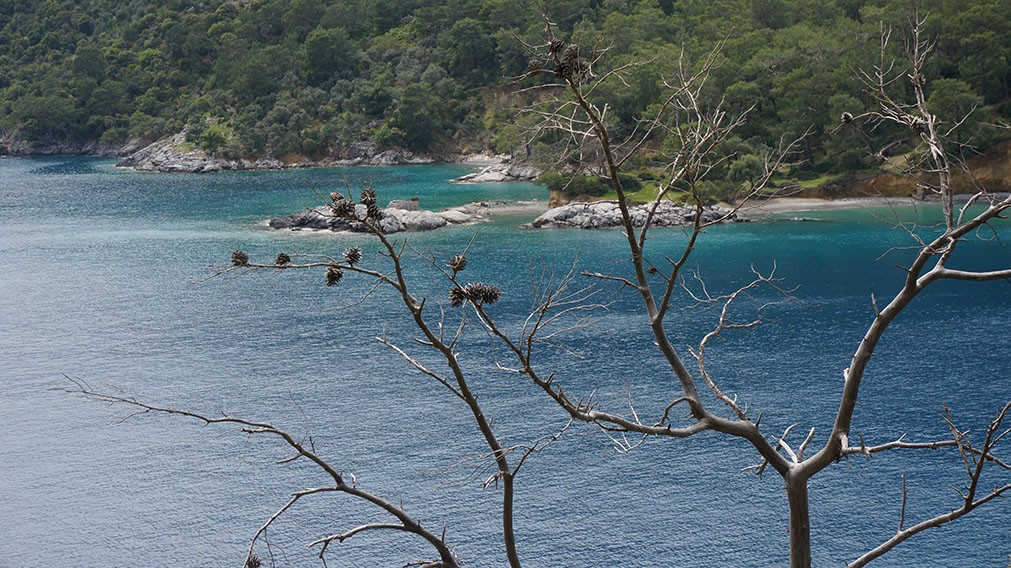 DSC0509022222.jpg