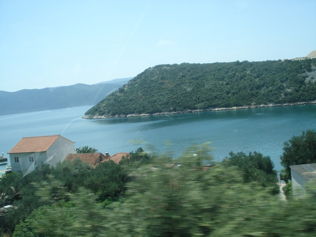 DSC05105.JPG