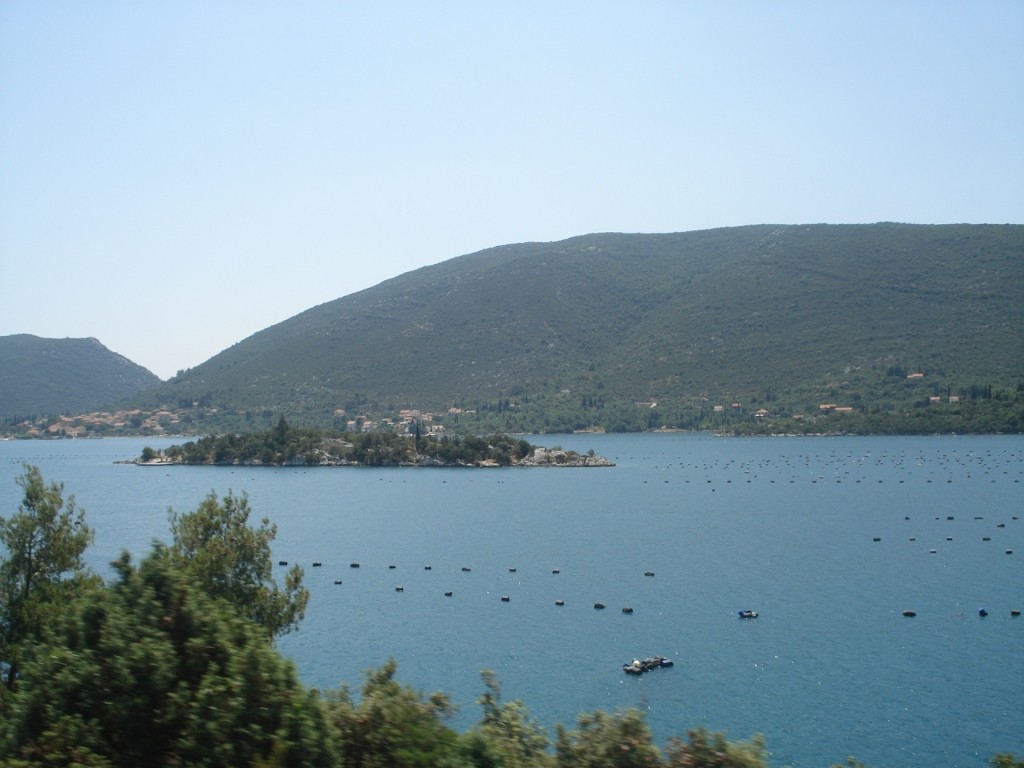 DSC05119.JPG