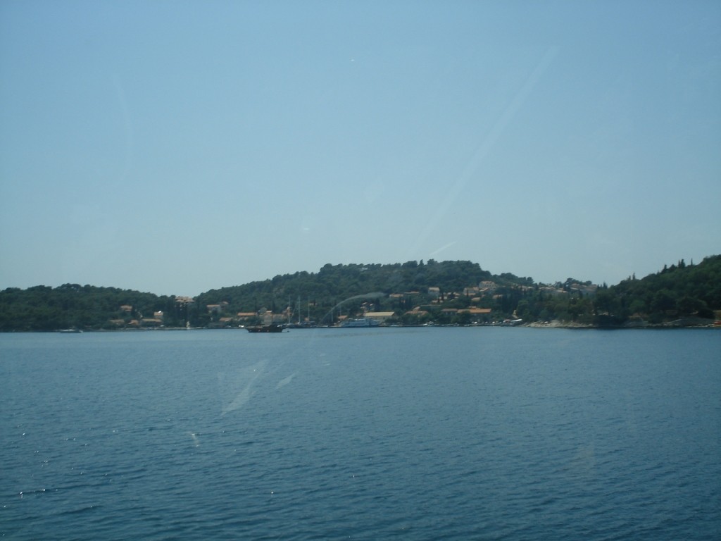 DSC05125.JPG