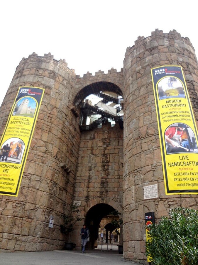 DSC05156 (Large).JPG