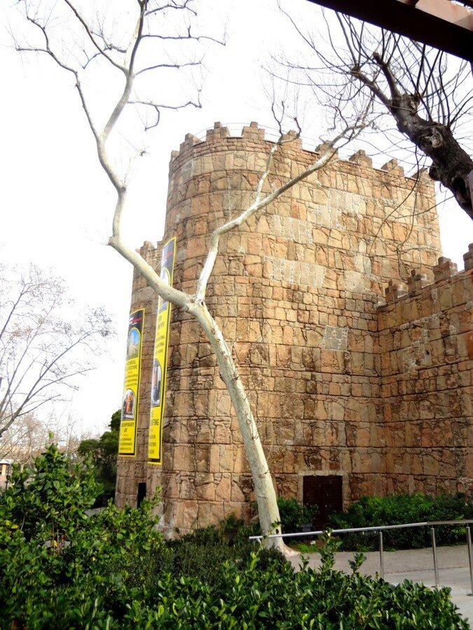 DSC05158 (Large).JPG