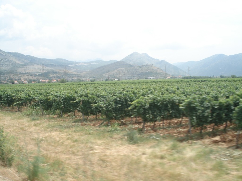 DSC05173.JPG
