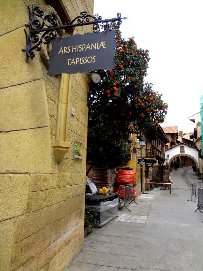 DSC05178 (Large).JPG