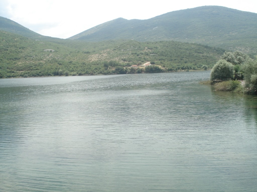 DSC05201.JPG