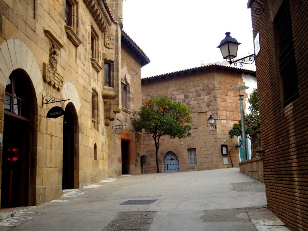 DSC05201 (Large).JPG