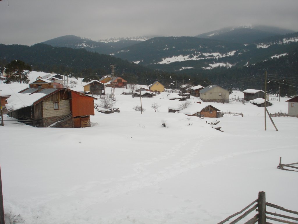 DSC05214.JPG