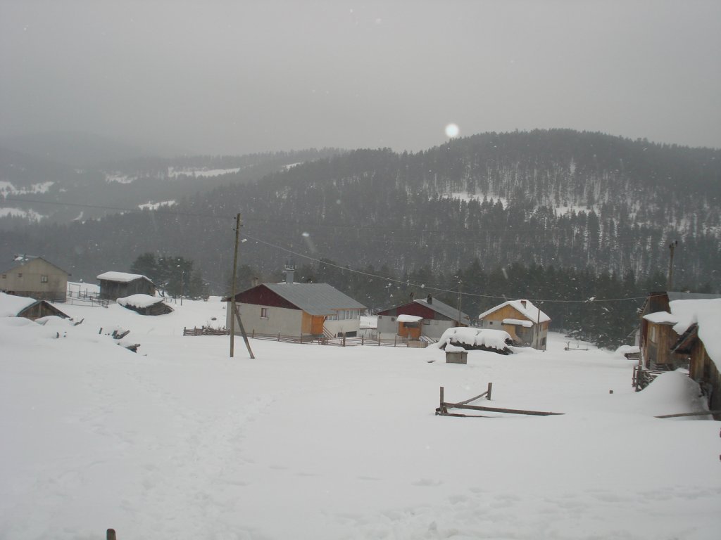 DSC05217.JPG