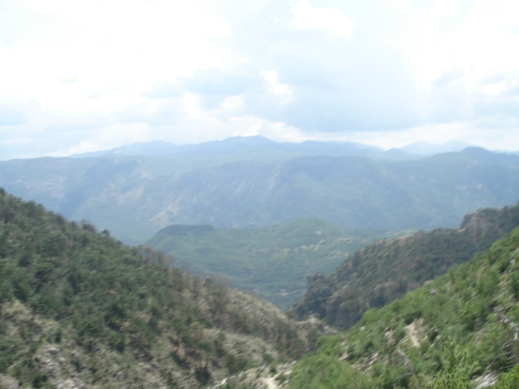 DSC05217.JPG