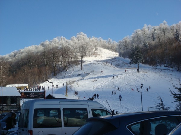 DSC05218.jpg