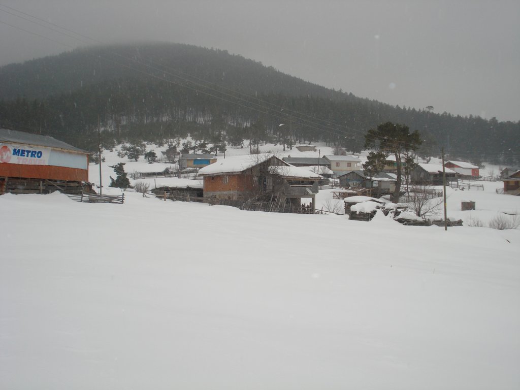 DSC05220.JPG