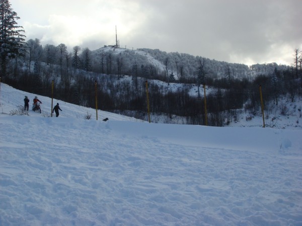 DSC05226.jpg