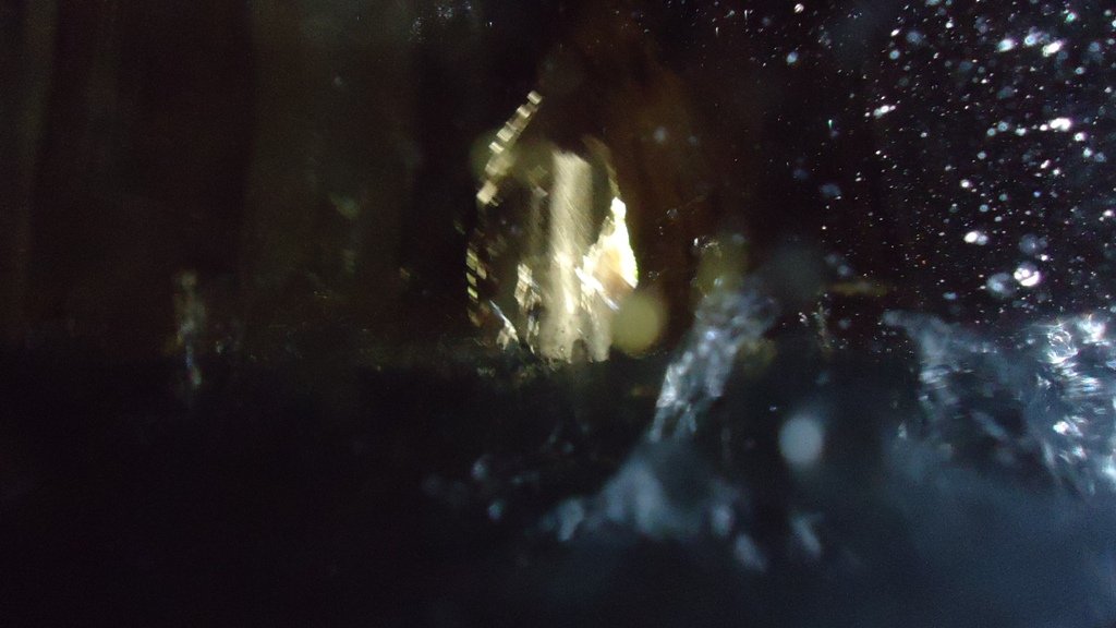 DSC05247.JPG