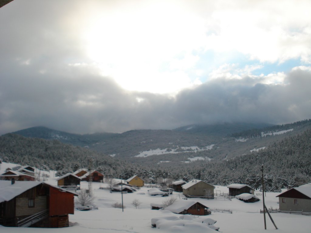DSC05249.JPG