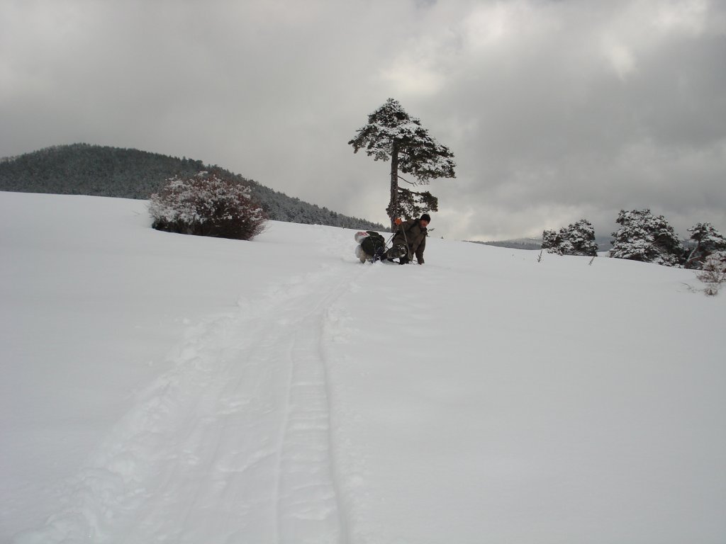 DSC05252.JPG